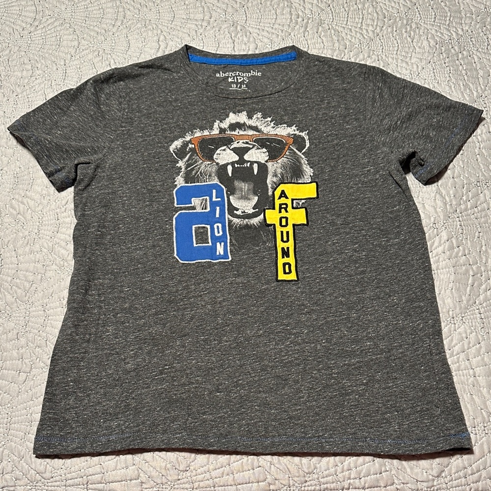 Abercrombie Kids Boys Gray Tee, EUC, Size 13/14